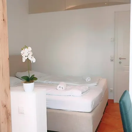 Zx Triple In Keplerplatz Homestay *