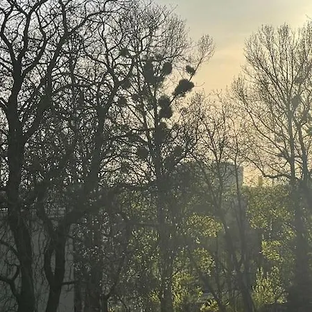 Stilvolles Augarten Refugium Apartamento Viena