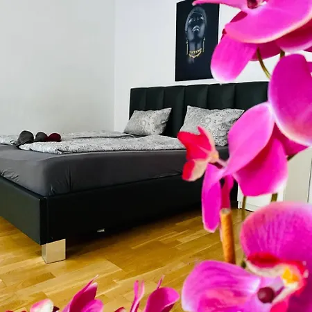 Apartament Family Th8 8 *