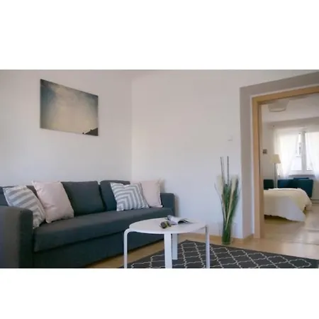 Spacious 2rooms In The Center Vienne