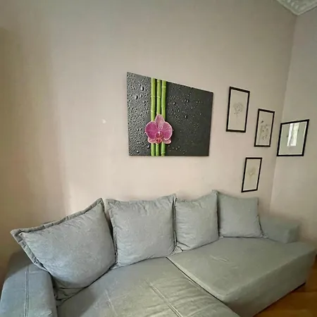 Apartment Gemutliche Mit Super Lage