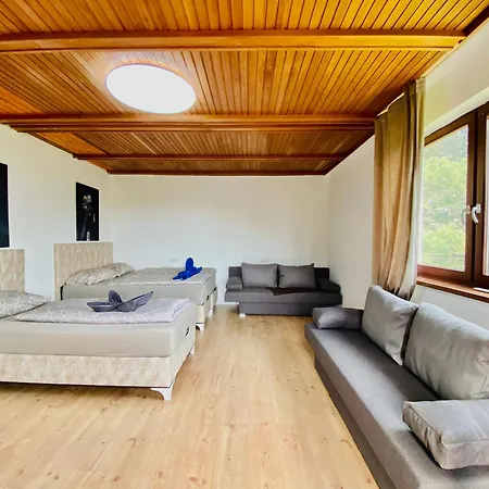 Family In Am Schopfwerk Area Homestay