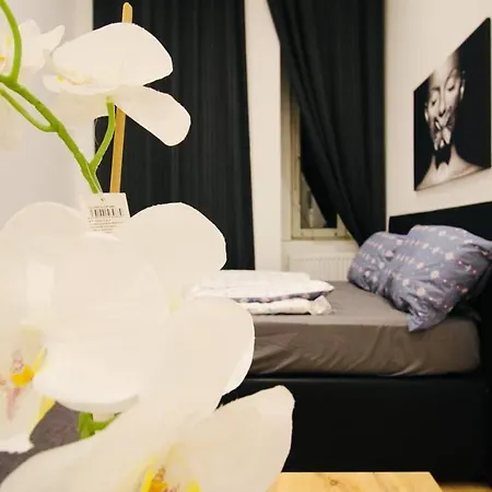 Cozy In Center Dw5 Homestay Vienna