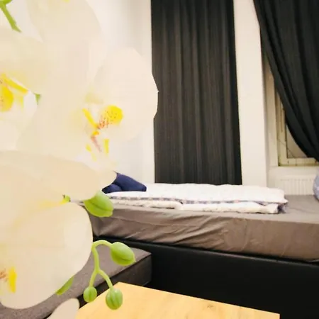 Cozy In Center Dw5 Homestay