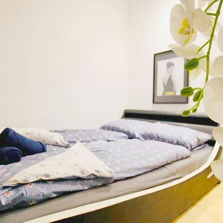 Cozy In Center Dw19 Viena