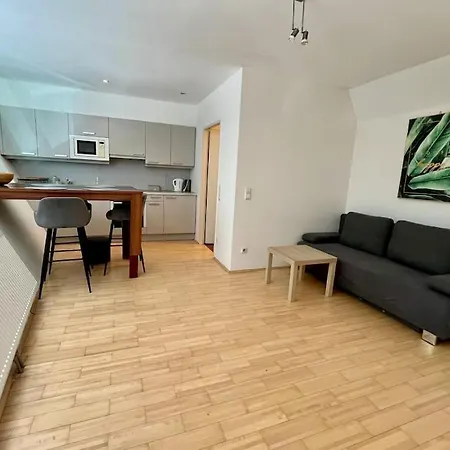 Spacious In The Popular 7th District Apartment Vienna