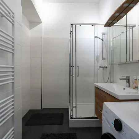 Luxurious Viennese Old Style Apartment Vienna