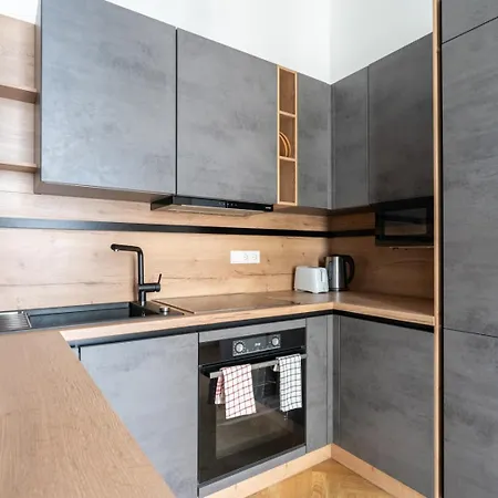 Luxurious Viennese Old Style Apartment