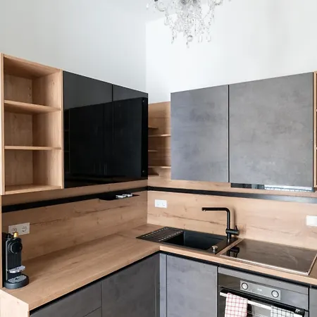 Luxurious Viennese Old Style Apartment