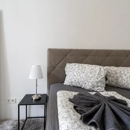 Luxurious Viennese Old Style Apartment Vienna