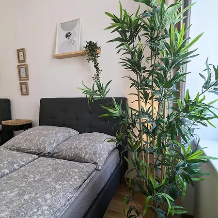 Renovated - 10 Min To Center Apartment *