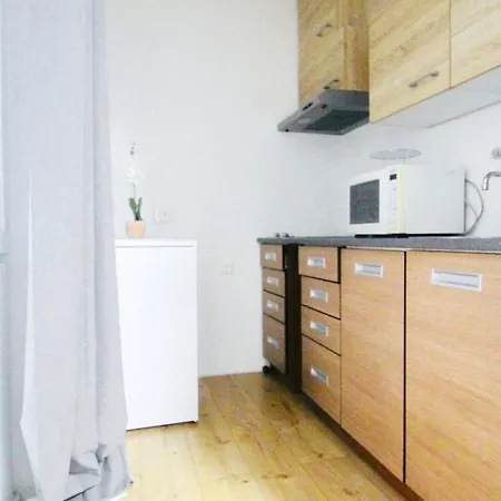 Modern In Millennium Area Apartment