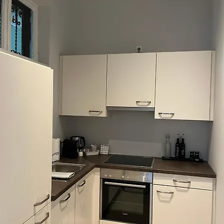 Grosszuegiger Wiener Altbau Gleich Neben Schoenbrunn Apartment