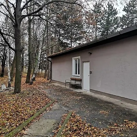 Ferienhaus Cozy Inklusive Free Parking Wien