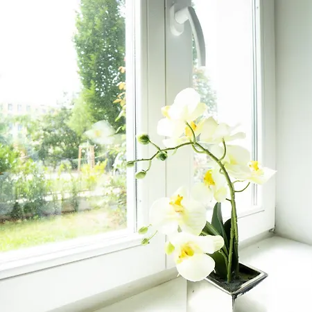 Dainn Schoenbrunn * Vienne