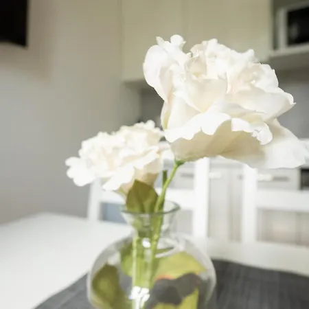 Dainn Schoenbrunn Appartement