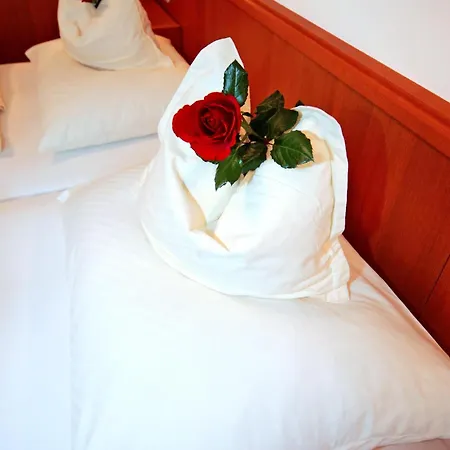 Fleger Apartamento Viena