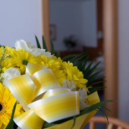 Fleger Apartamento