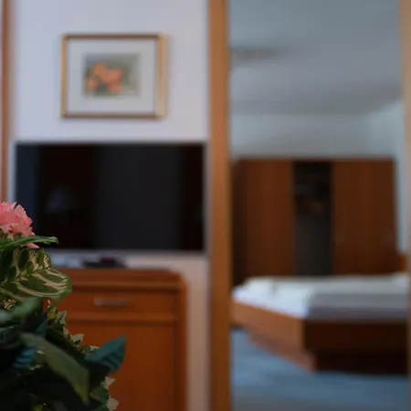Fleger Apartamento Viena