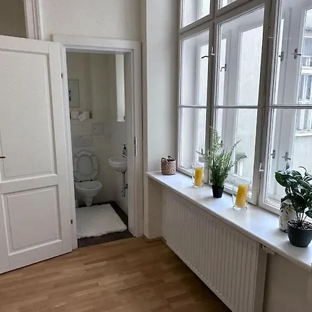 Grossraeumige Altbauwohnung Nahe Zentrum Apartment