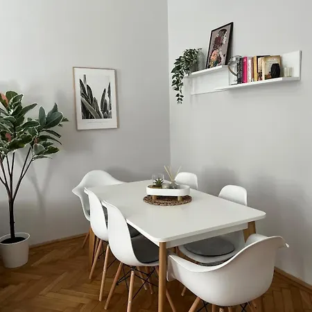 Grosszuegiger Wiener Altbau Gleich Neben Schoenbrunn Vienna