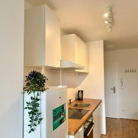 Modern Danube With Balcony *