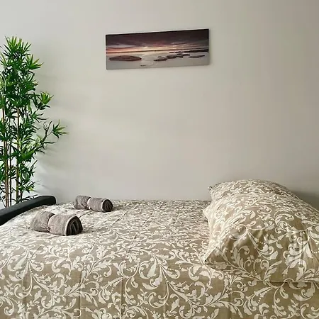 Stylish With Garden Apartment