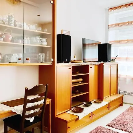 Vintage Charm Near Main Station Viena