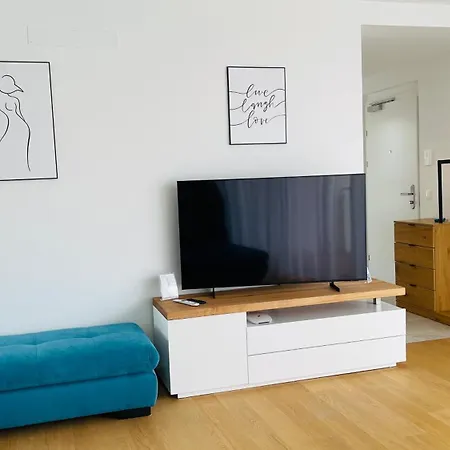 Spacious Penthouse - 4 For Up To 10 Guests - Contactless Check-in Viena