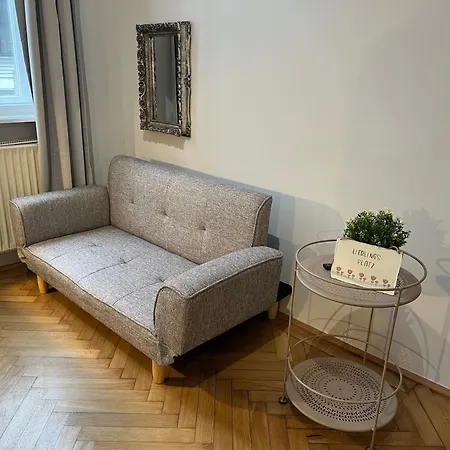 Grosszuegiger Wiener Altbau Gleich Neben Schoenbrunn Apartment *