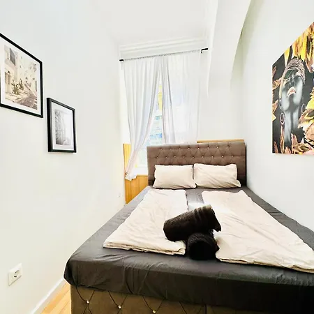 10 Bedroom For Groups, 8-min To Rathausplatz * Viena