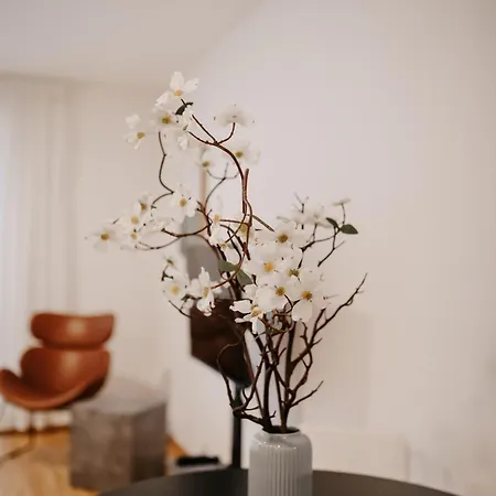 Apartment Modern Vienna