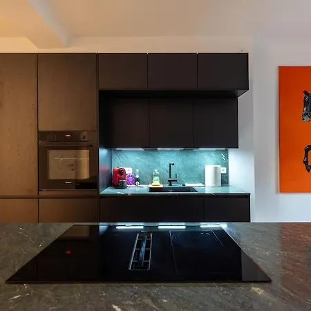 Apartment Palais Herzog - Residieren Im Herzen Von *