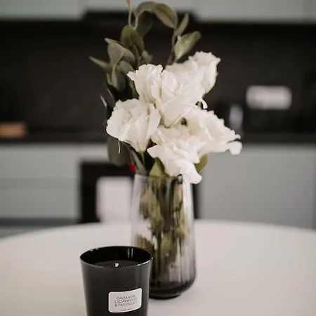 Apartment Luxury