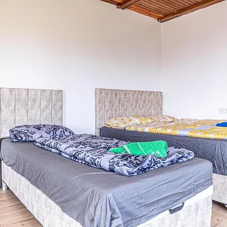 Hostel Comfy In Shared With Terrace And Garden
