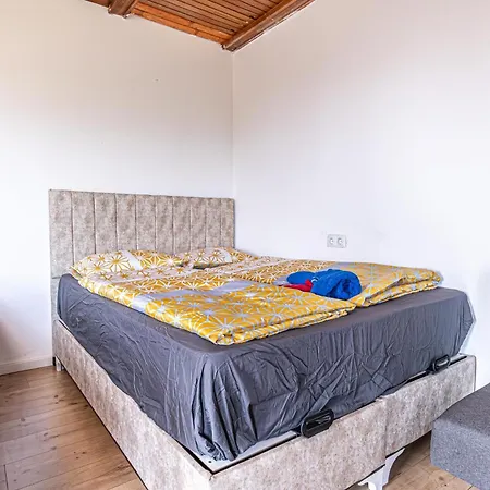 Hostel Comfy In Shared With Terrace And Garden