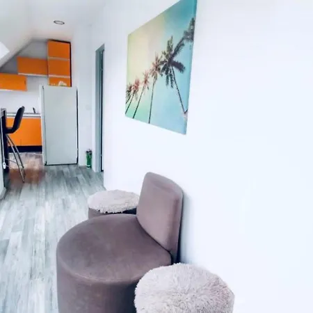 Central 4br Shared With Terrace 10-min Walk To Augarten Vienna