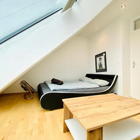 Apartment Comfy Central 4-bedroom Shared With Two Levels Vienna