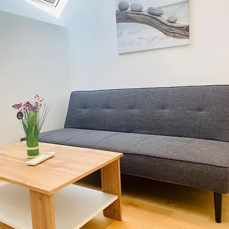 Apartment Comfy Central 4-bedroom Shared With Two Levels Vienna