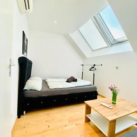 Apartment Comfy Central 4-bedroom Shared With Two Levels Vienna