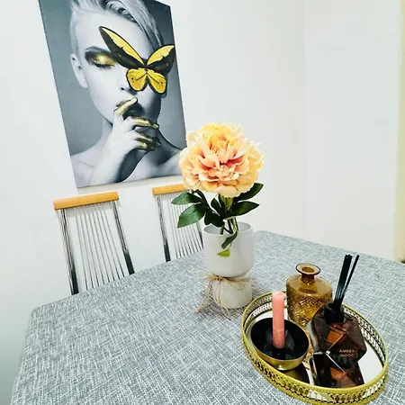 Apartment Spacious 2br 10 Mintransport To Stadthalle *