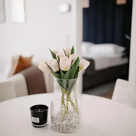 Luxury Apartment *