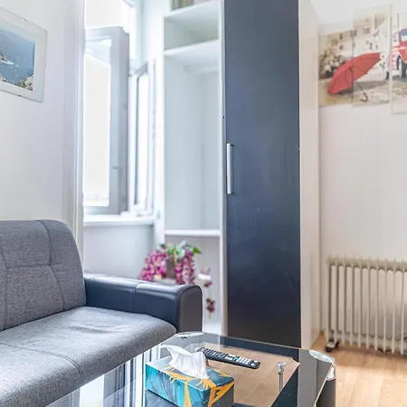 Homely Near Millenium Tower Apartment *