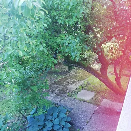 In House - Charming Retreat With Garden Metro Access Penzion Vídeň