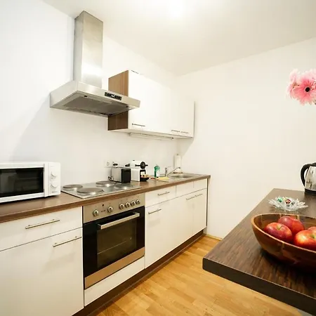 75 M2 Rooftop Central Apartment Vienna