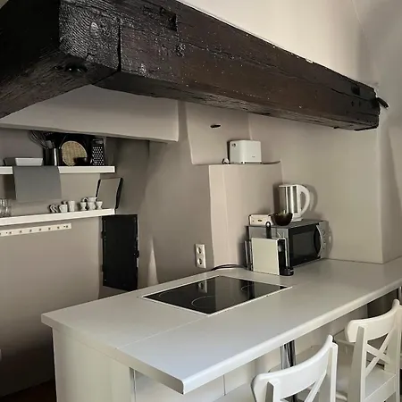 Cozy Loft Apartment *