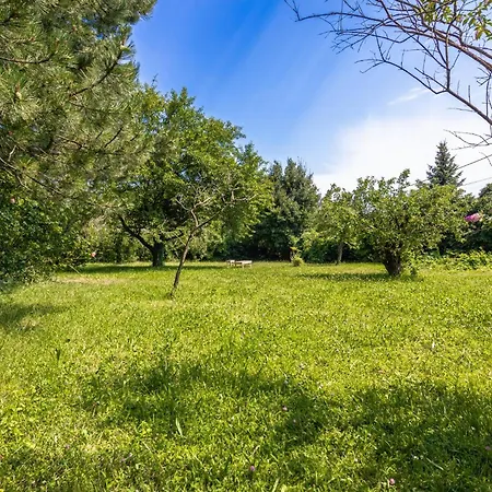 Cozy Entire House With Terrace And Garden, Up To 34p *