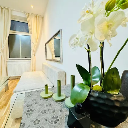 Chic For 5p, 12-min Walk To Augarten *