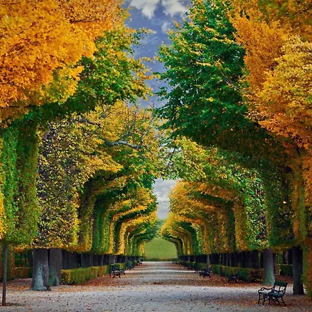 Imperial Schoenbrunn Vienna