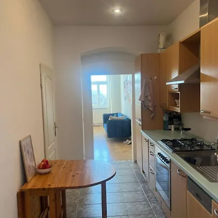 Beautiful Flat Overlooking A Great Park Apartment Vienna